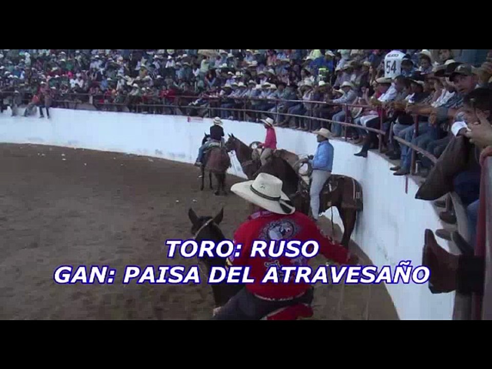 TORO EL RUSO DEL PAISA DEL ATRAVESAÑO