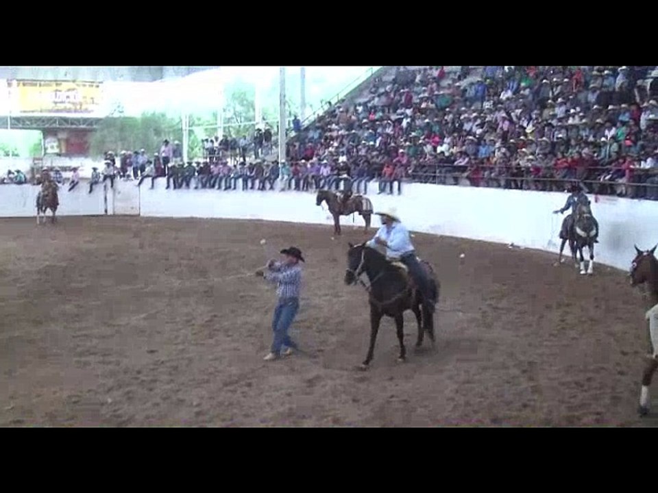 EL MEDIOLITRO DE CASASVIEJAS EN EL LIENZO LA GPNA