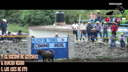 TORO EL ASESINO DE LEYENDAS DE RANCHO NEGRO