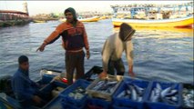 Israel's temporary expansion of Gaza's fishing zone fails to ease concerns