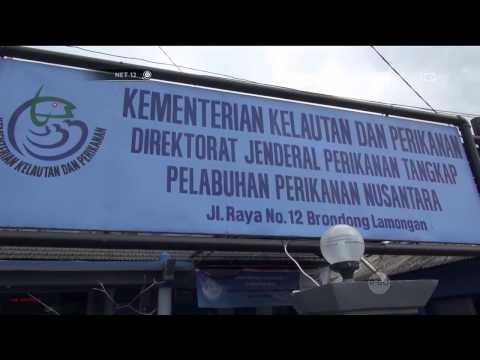 Pasokan Ikan Menaipis karena Nelayan Tak Melaut Akibat Cuaca Buruk -NET12