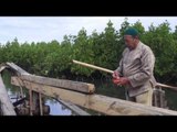 Tradisi unik Nelayan Aceh bernama Peusijuek - NET5