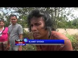 Warga Di Jember Terobos Lahar Hujan Bencana Banjir - NET12