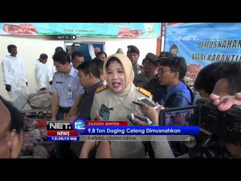 9,8 Ton daging celeng ilegal dimusnahkan petugas badan karantina pertanian Cilegon - NET12