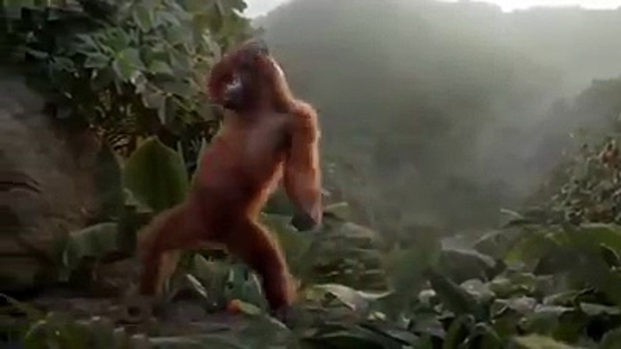 Harika bir gösteri - mükemmel efekt