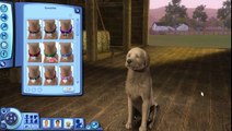 Lets Play The Sims 3: Pets! [Part 2 -- Create a Pet]