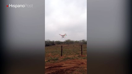 Quiso probar su habilidad para manejar un dron y casi lo destruye