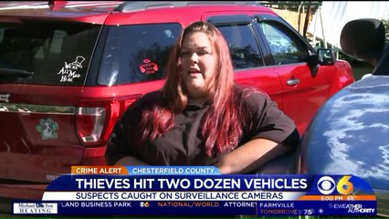 Thieves Target Nearly 2 Dozen Cars in Virginia Neighborhood