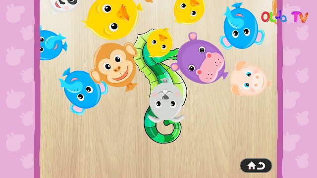 Animais para crianças em Português - nomes e sons - quebra aprendizagem