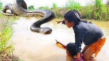 Amazing Brave Little Sisters Catch Big Snakes While Digging Crabs in Canal