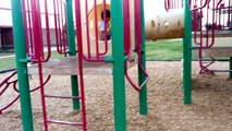 Playing Hide n Seek With Toy ZOO Safari Jungle Wild TOY ANIMALS on Playground SLIDES-Kids Fun Learn