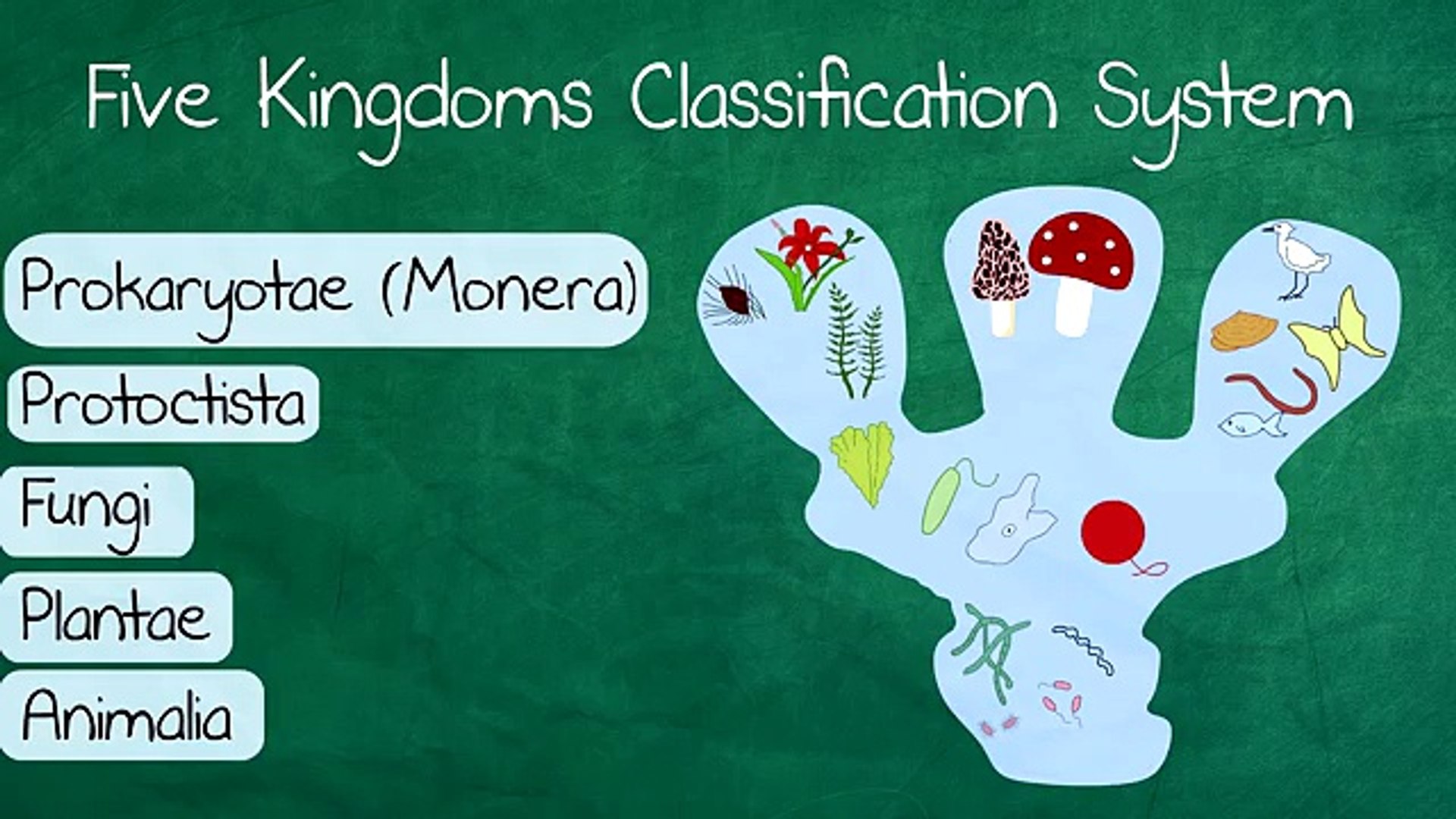 The 5 Kingdoms in Cl****ification | Biology for All | FuseSchool
