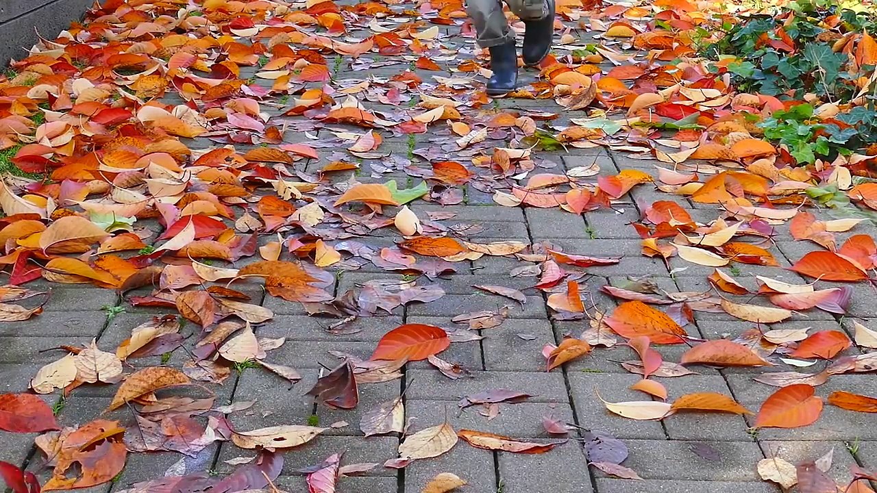 Mario Kart Remote Control Car by Carrera RC - Mario RC Car Fun Video