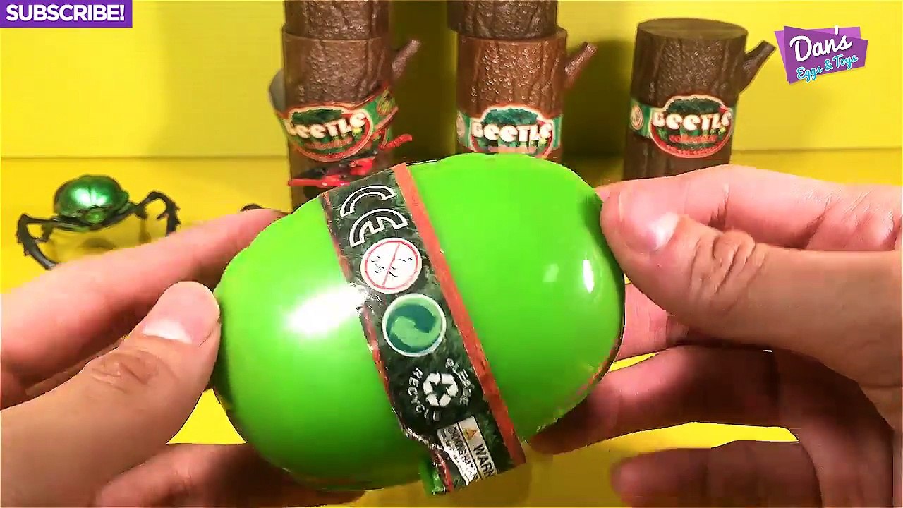 8 GIANT BEETLES ANIMALS TOYS 3D PUZZLES - Longarm Beetle Bulldog Ant Atlas