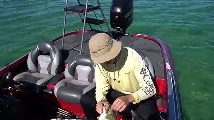 Fishing INCREDIBLY Clear Water For BIG BASS