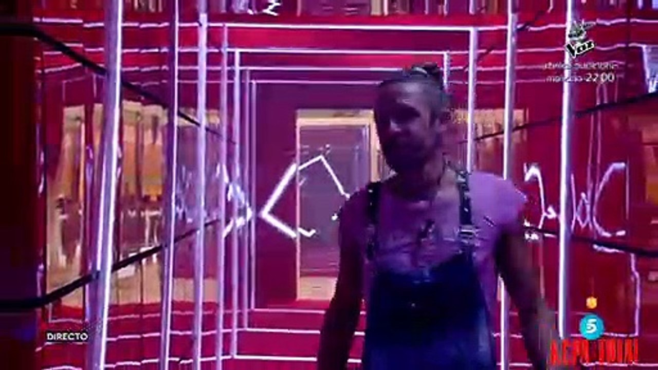 Gala 6  1/3