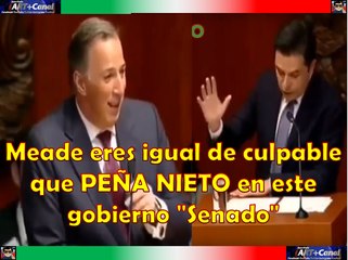 Meade eres igual de culpable que PENA NIETO en este gobierno -Senado-