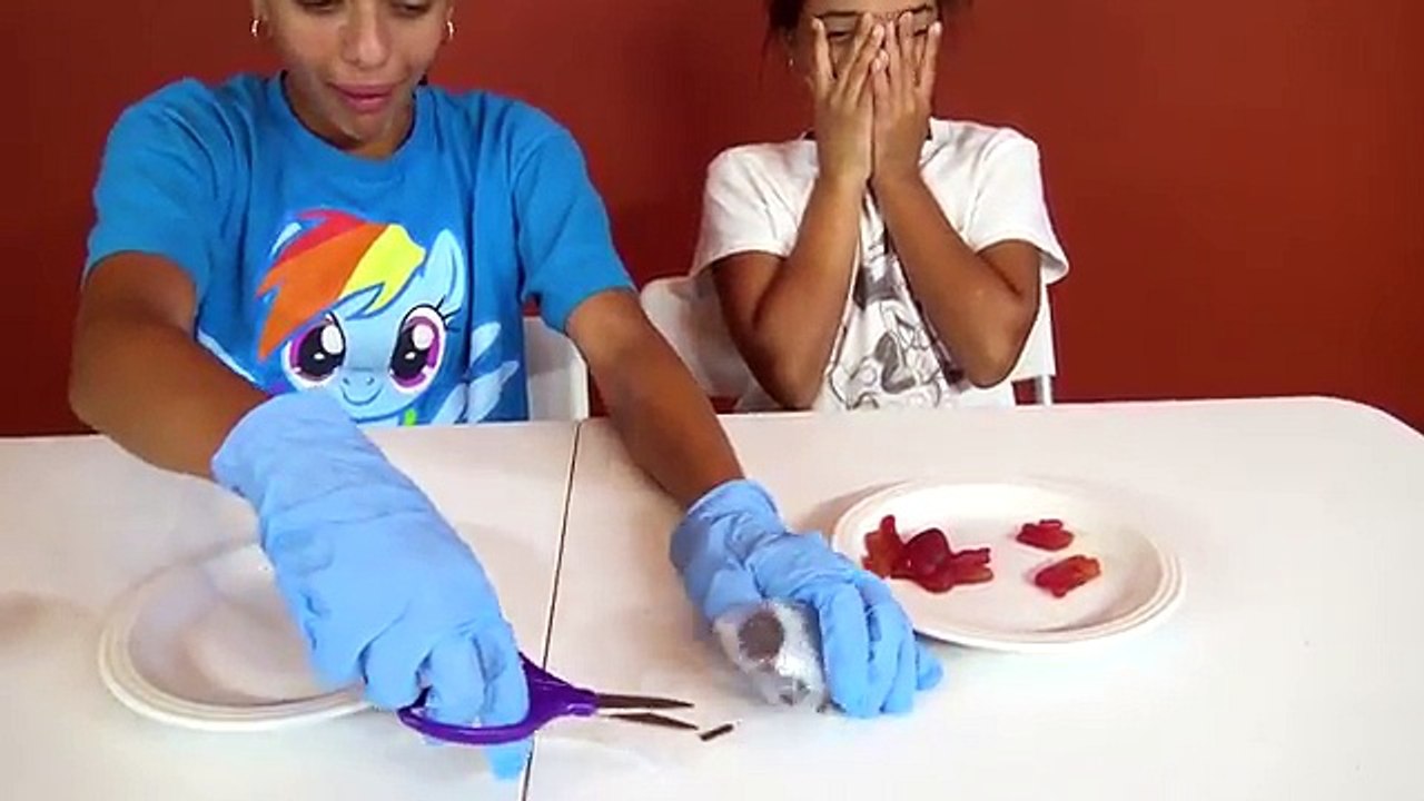 REAL FOOD vs GUMMY FOOD! Gross Spider Alligator & Rattlesnake Meat Giant Candy Challenge Chef Mommy
