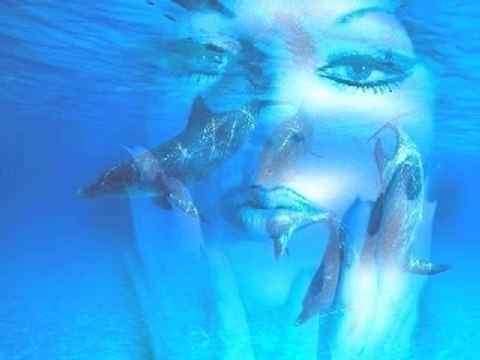 Christophe Willem - Jacques A Dit