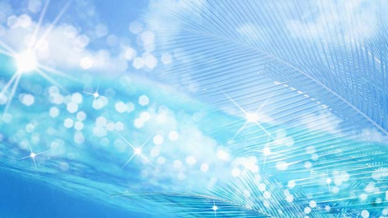 Download PDF MUSIC CITY NEWS magazine December 1981 Alabama on cover (The Sound of a City Heard Around The World, Volume XIX No. 6, Roy & Dale, Happy Trails Still, Country Music, BlueGrass Music) FREE