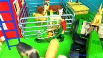 Çiftlik Hayvanlar - Hayvanlar hakkında bilgi edinin - Çocuk Oyuncak Hayvanlar - Eğlenceli ve Eğitim