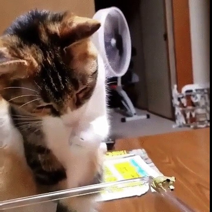 So Cute!