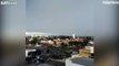 Lightning Strike Hits Tree In Brazil