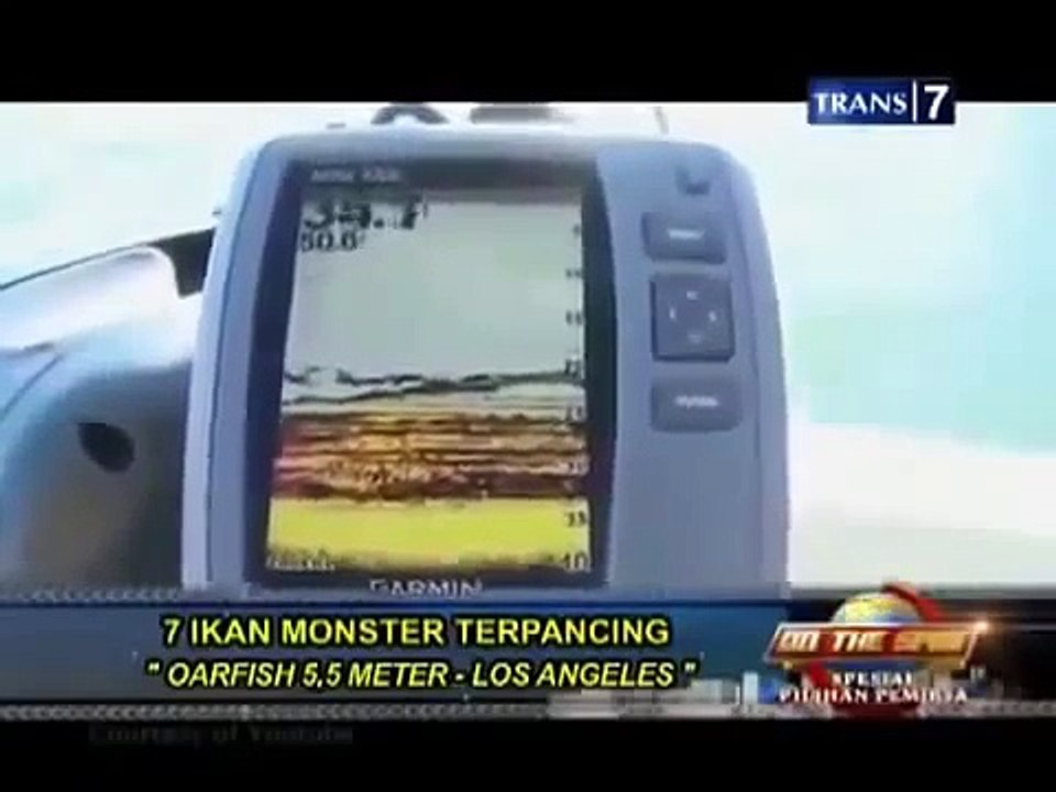 On The Spot Trans 7 Terbaru ~ 7 Ikan Monster Terpancing Yang Menggemparkan Dunia