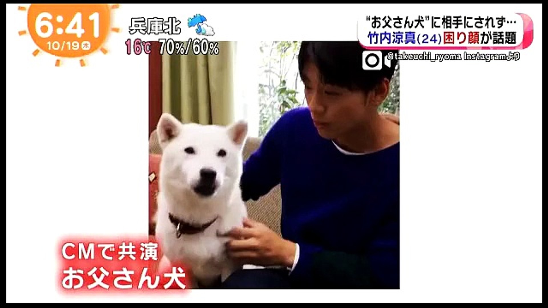 竹内涼真 お父さん犬に相手されず困り顔が話題に ソフトバンクcm Video Dailymotion