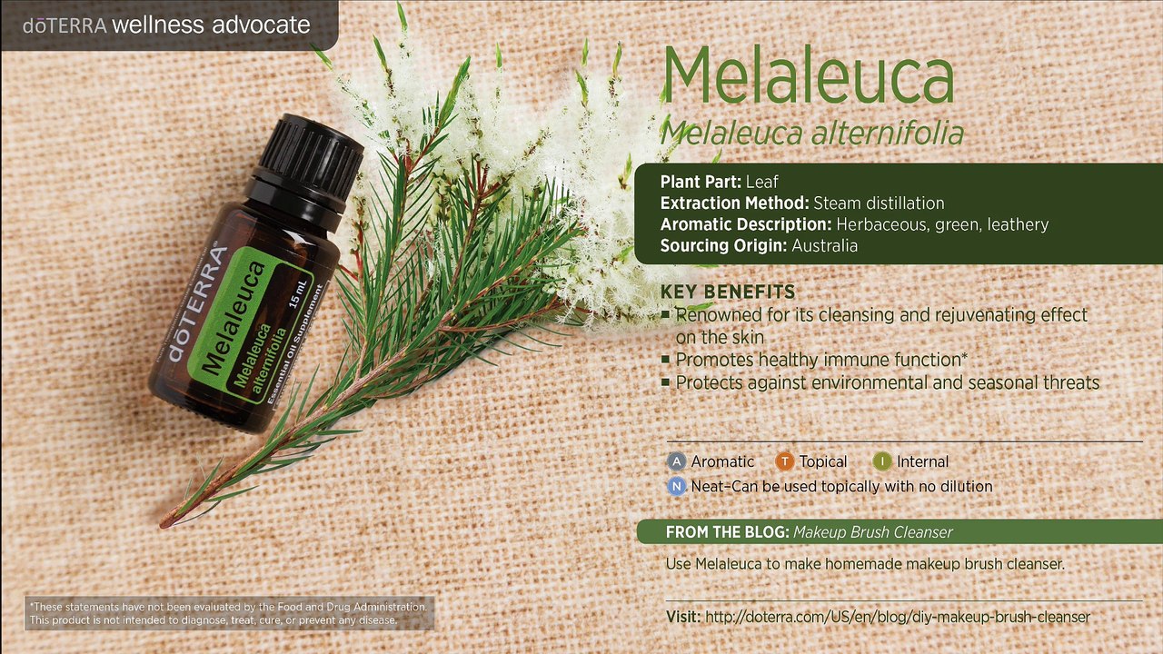 doTERRA Tea Tree Essential Oil