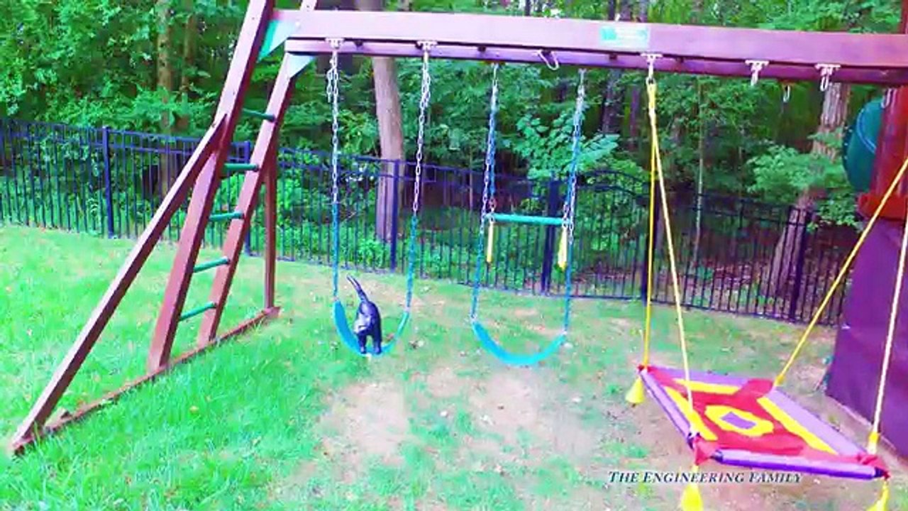 BAD BABY Wiggles Eats the Assistants Homework Funny Kids Bad baby Doggy Video