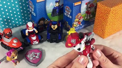 Paw Patrol Oyuncak Unboxing - Paw Patrol Takım Eylem Pup Takımları ve Paw Patrol Araçlar