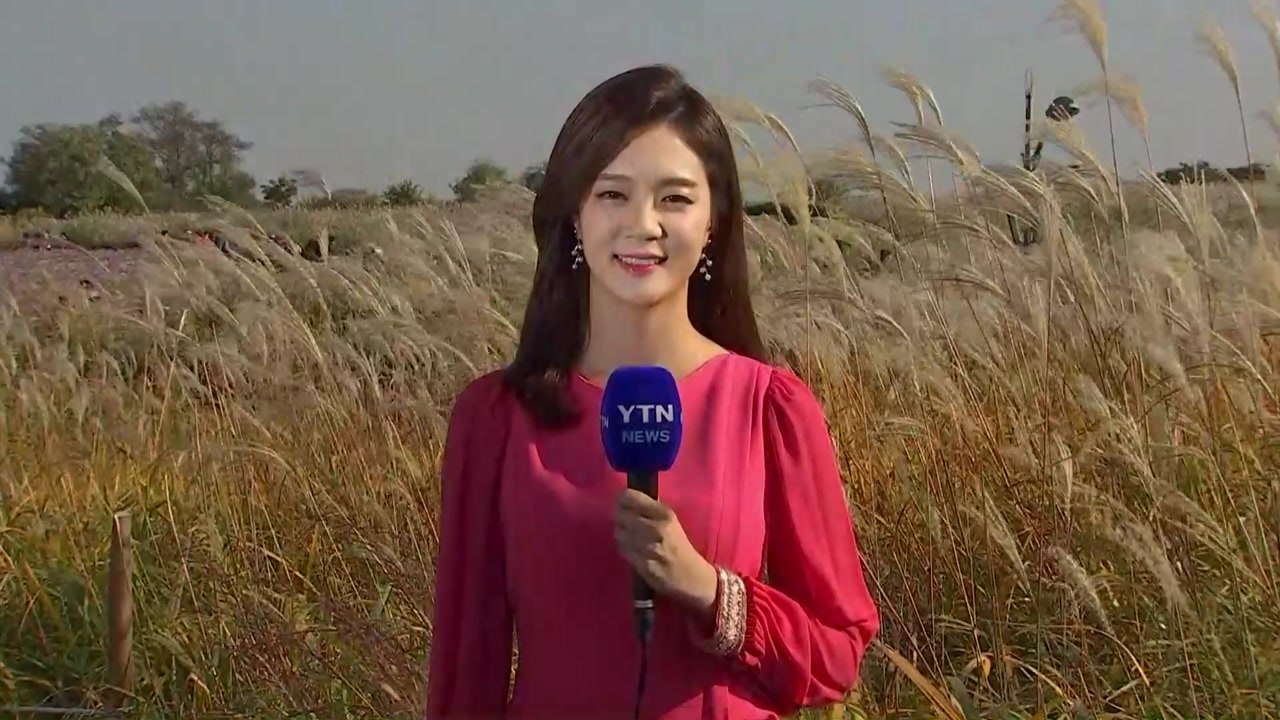 [날씨] 주말까지 내륙 쾌청...태풍 영향 휴일 강풍 / YTN