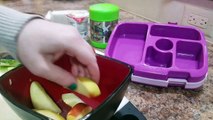 How I make my kindergarteners lunches - Bento Box Style - Week 6! - DIY Marshmallow/Apple Fluff