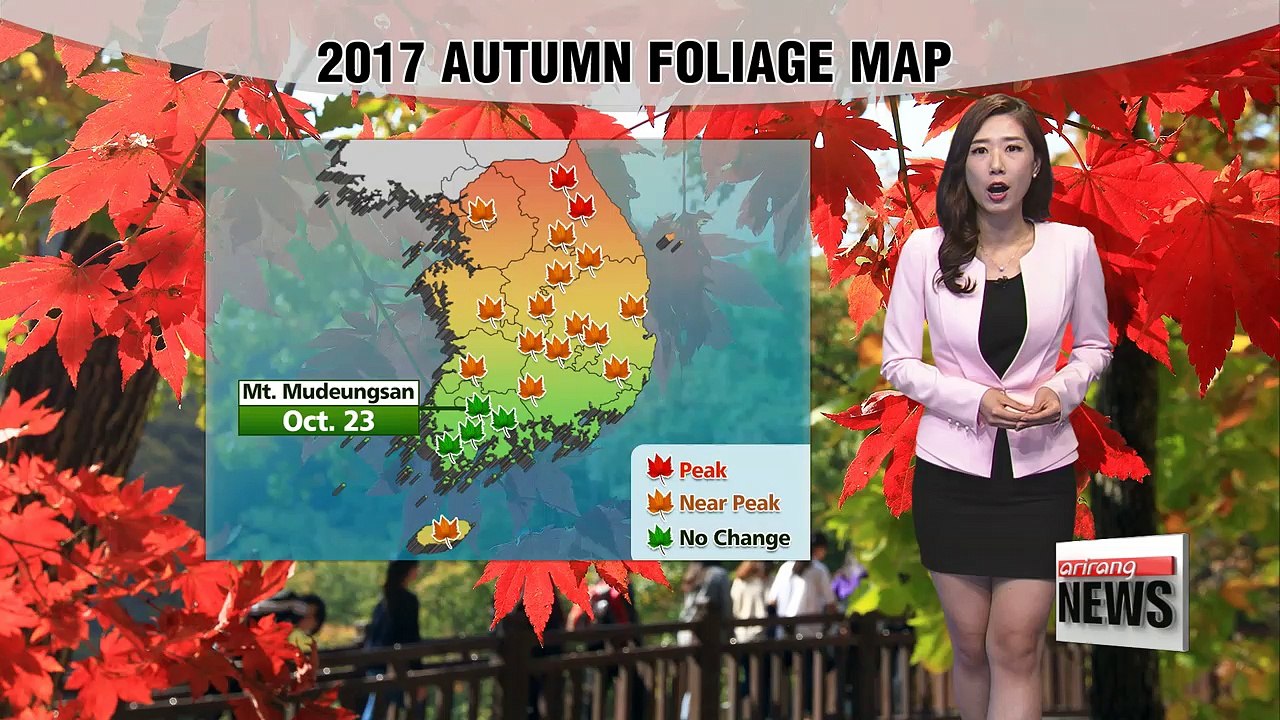 Mild highs under sunny skies _ 102017