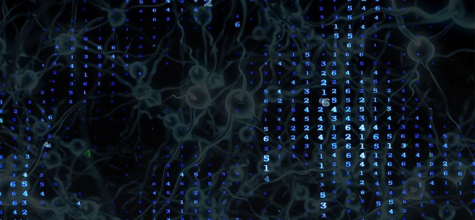 FUN-MOOC : Des neurones à la psychée, Introduction aux réseaux de neurones biologiques et artificiels