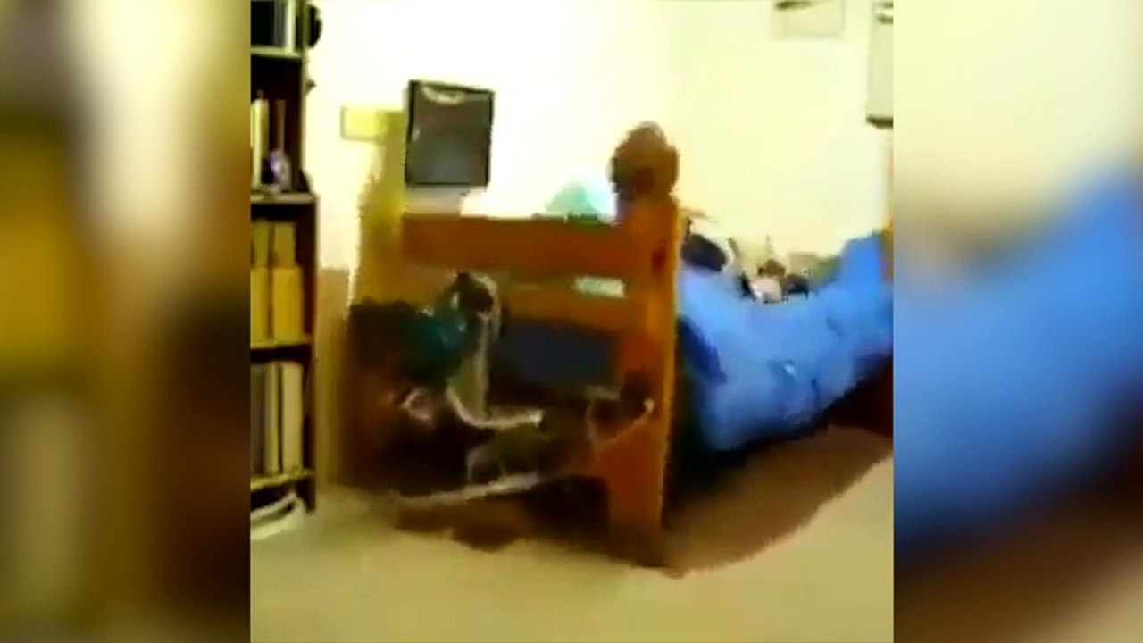 Pour tous ceux qui se rendorment quand le réveil sonne !