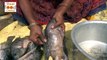 Village Style Yummy Fish Curry || How To Make Fish Curry || Indian Fish Curry | Village Food Fory