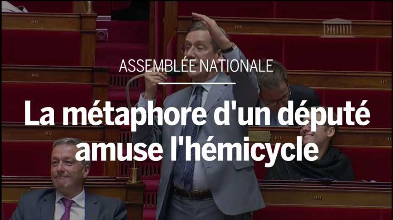 Assemblée nationale : la métaphore d'un député amuse l'hémicycle