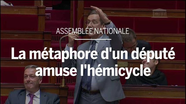 Assemblée nationale : la métaphore d'un député amuse l'hémicycle