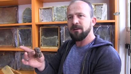 Doğal Bal Nasıl Anlaşılır?