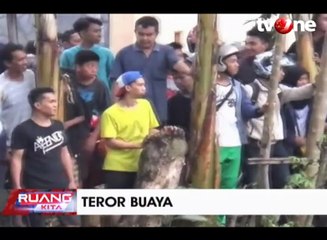 Teror Buaya di Sungai Batua Raya Makassar