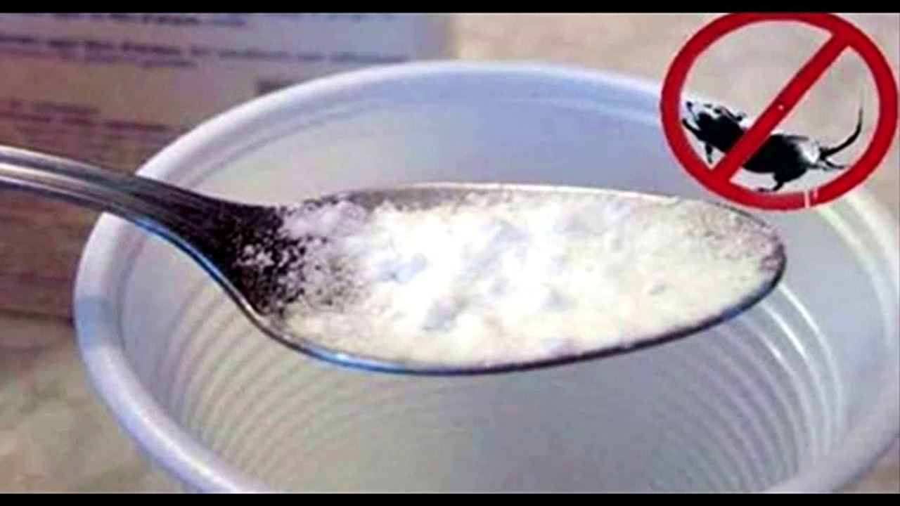 How To Get Rid Of Mice Permanently In All Natural Way!