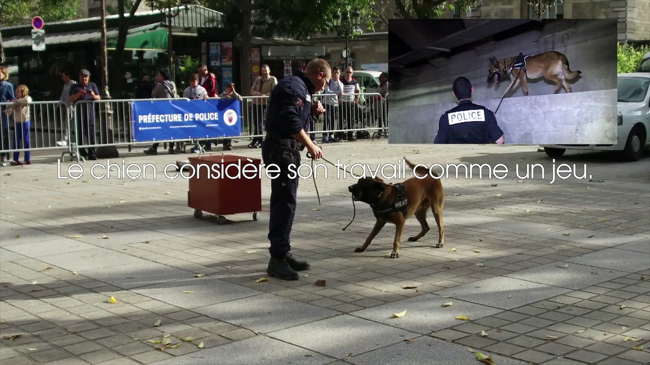 Démonstration de la compagnie cynophile aux rencontres de la sécurité intérieure