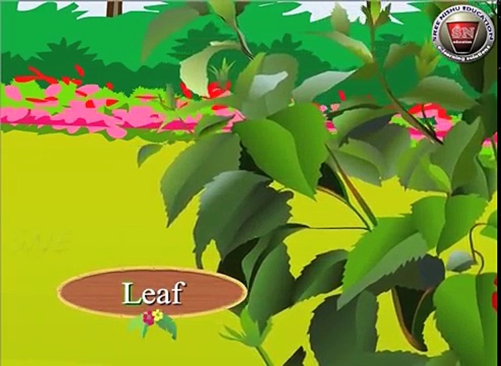 ABC Phonics Songs A to Z ( A for Apple, B for Ball . ) for children - Animation video