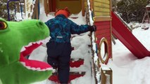 Doruk timsahı çocuk parkına götürdü | Oyun parkı videoları