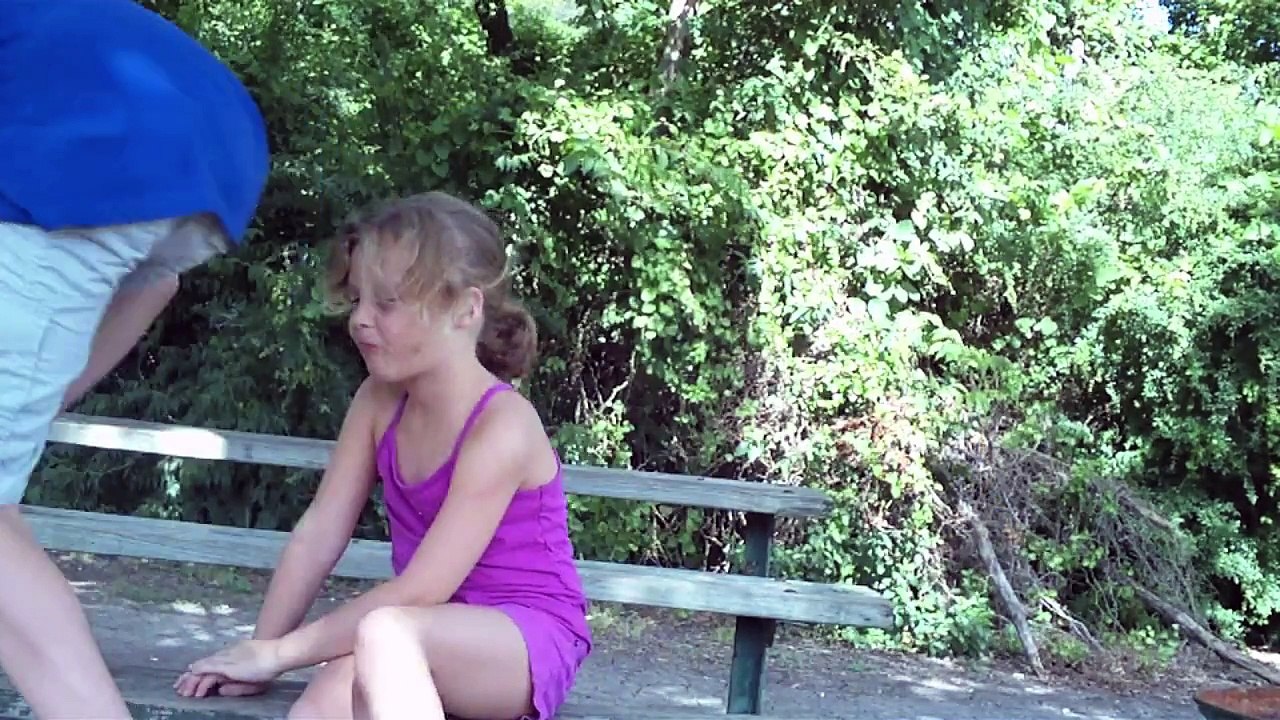 The Woods