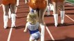 Adorable Toddler Steals the Show at Halftime Performance