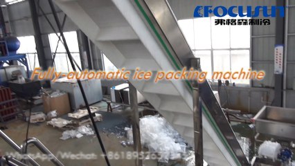Focusun tube ice and cube ice packaging machine
