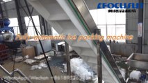 Focusun tube ice and cube ice packaging machine
